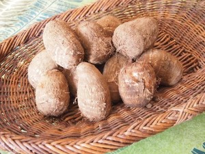 家庭で栽培した里芋を収穫した後の効果的な保存方法とは？