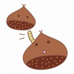 エギングロッド以外の竿でもエギングはできるのか?